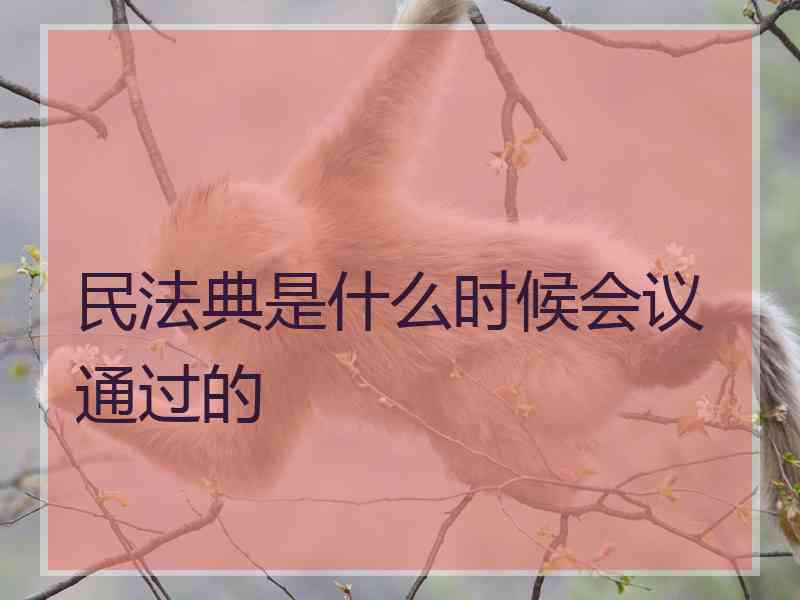 民法典是什么时候会议通过的