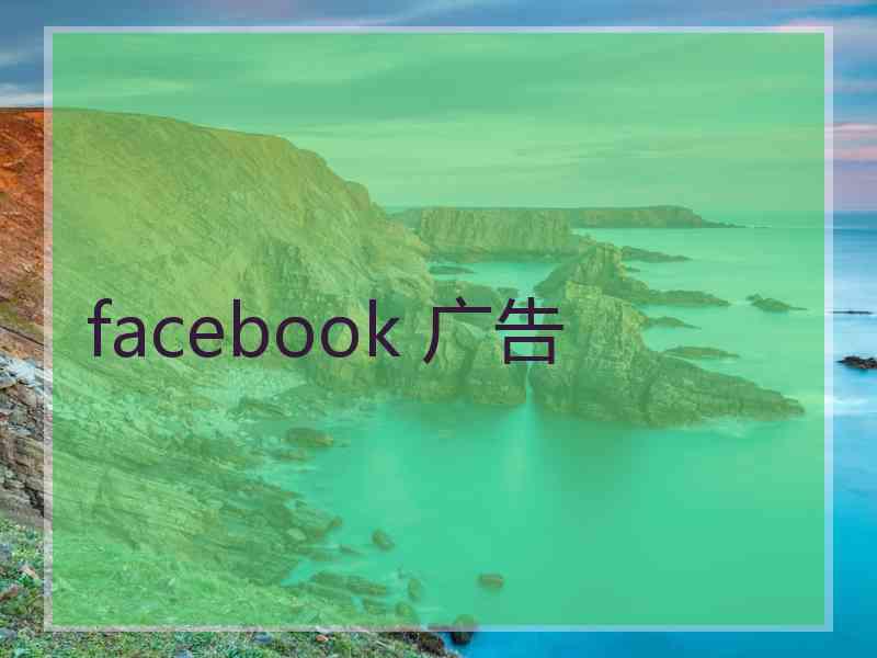 facebook 广告