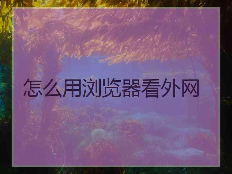 怎么用浏览器看外网