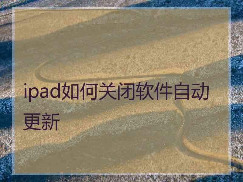 ipad如何关闭软件自动更新