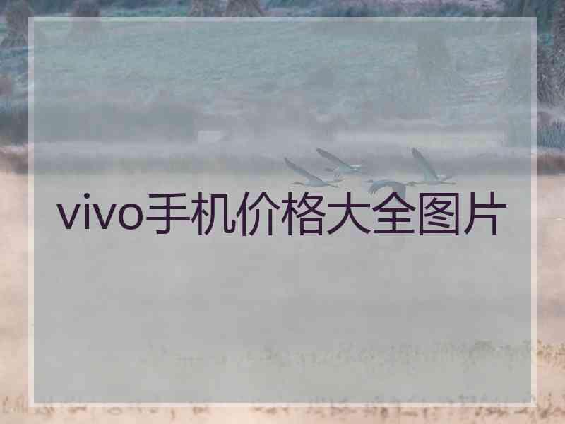 vivo手机价格大全图片