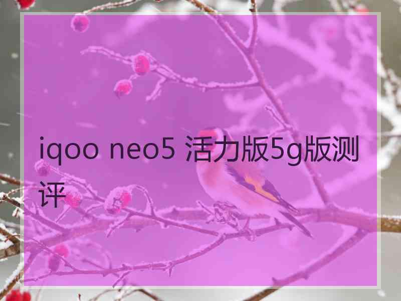 iqoo neo5 活力版5g版测评