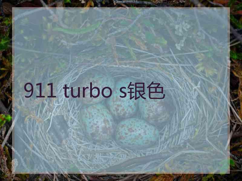 911 turbo s银色