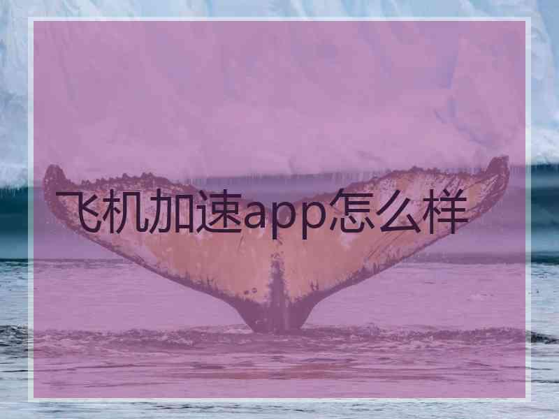 飞机加速app怎么样