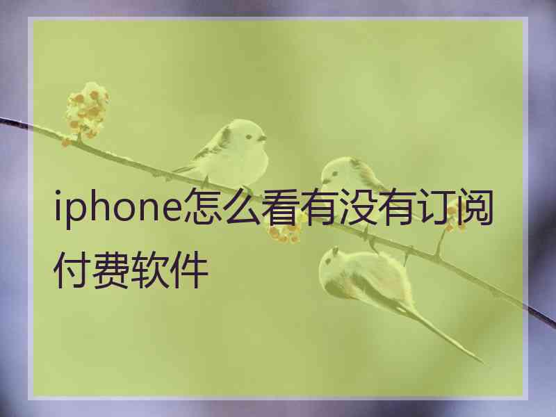 iphone怎么看有没有订阅付费软件