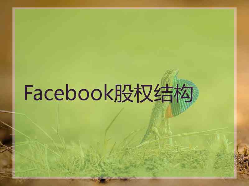 Facebook股权结构