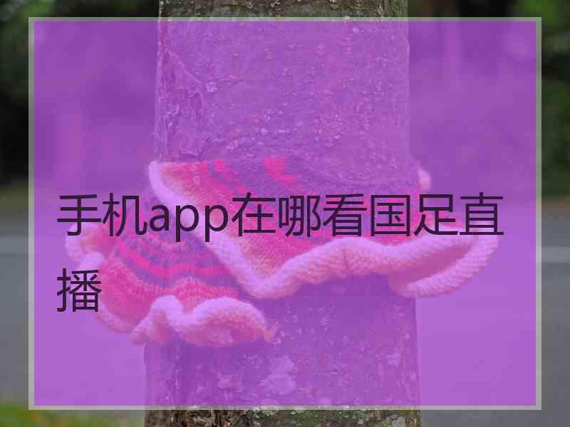 手机app在哪看国足直播