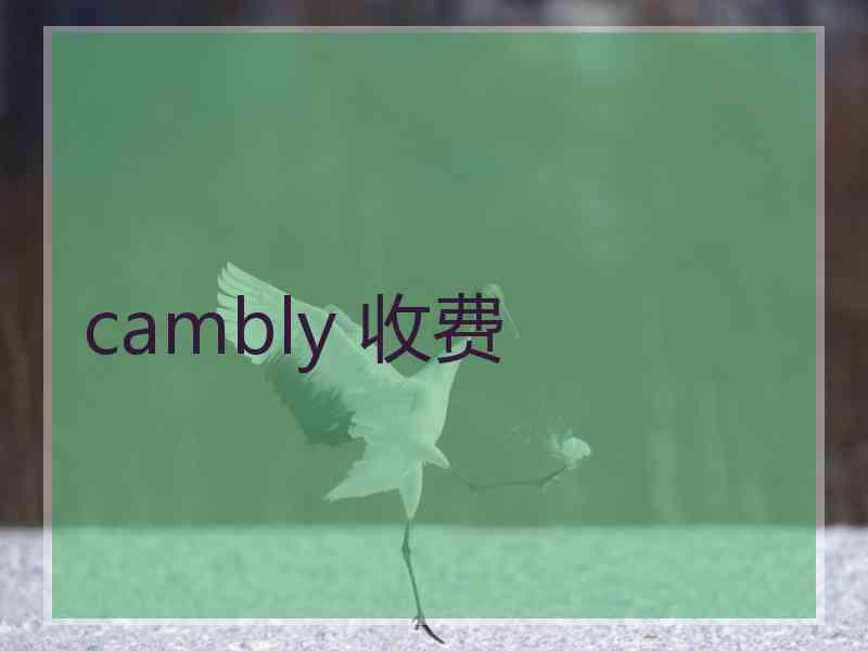 cambly 收费