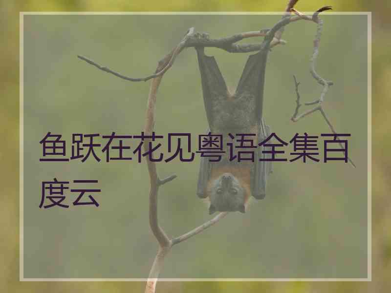 鱼跃在花见粤语全集百度云