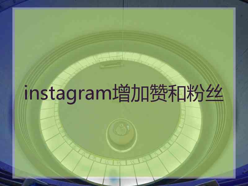 instagram增加赞和粉丝