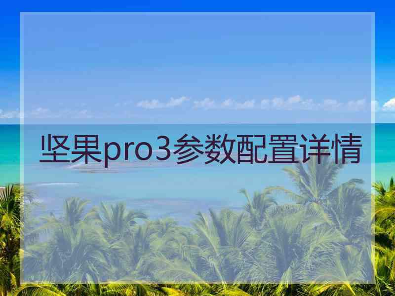 坚果pro3参数配置详情