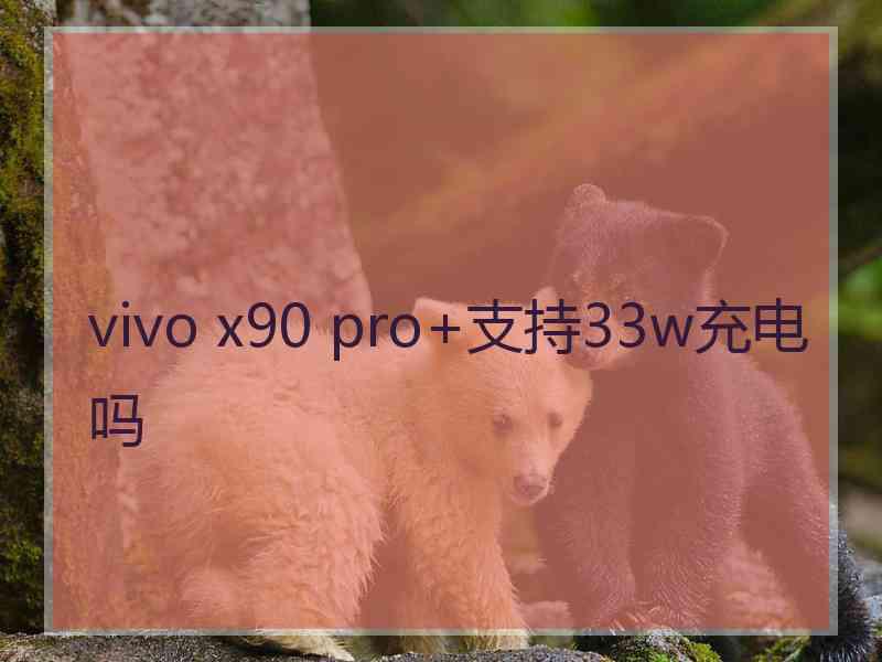 vivo x90 pro+支持33w充电吗