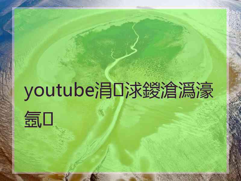 youtube涓浗鍐滄潙濠氬