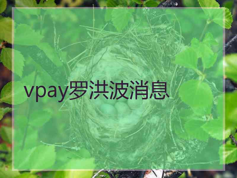 vpay罗洪波消息