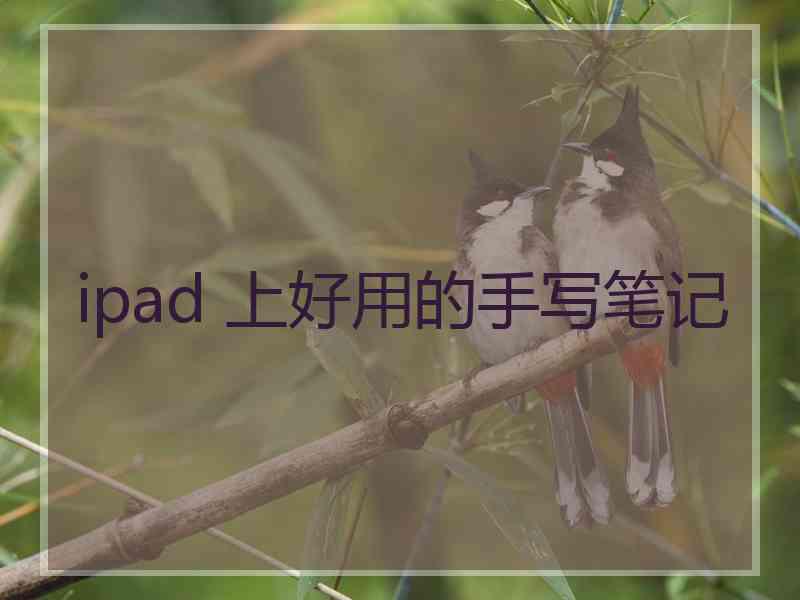 ipad 上好用的手写笔记