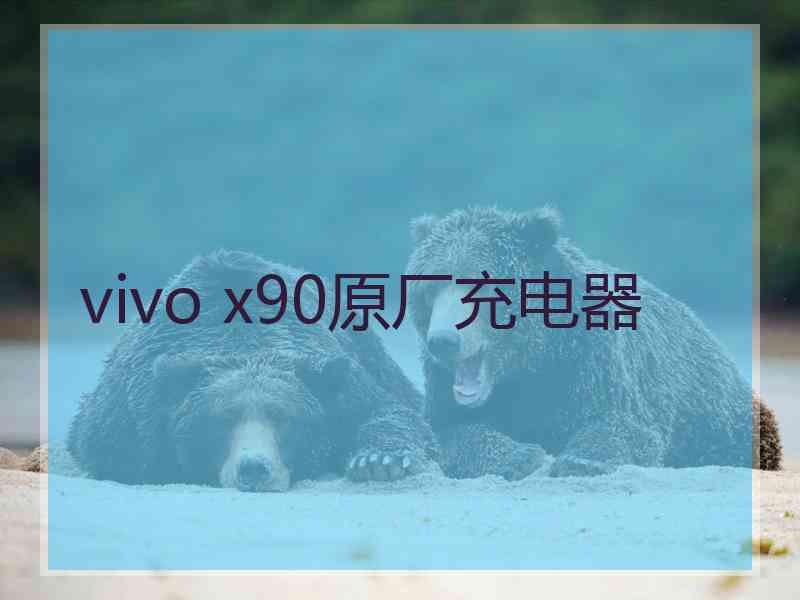 vivo x90原厂充电器