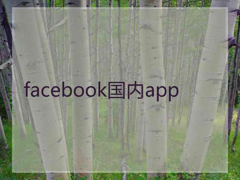 facebook国内app