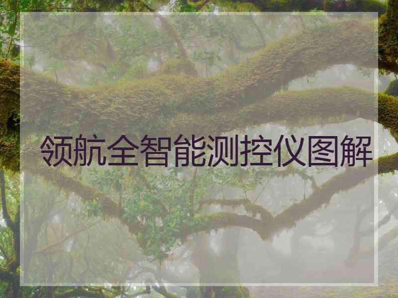 领航全智能测控仪图解