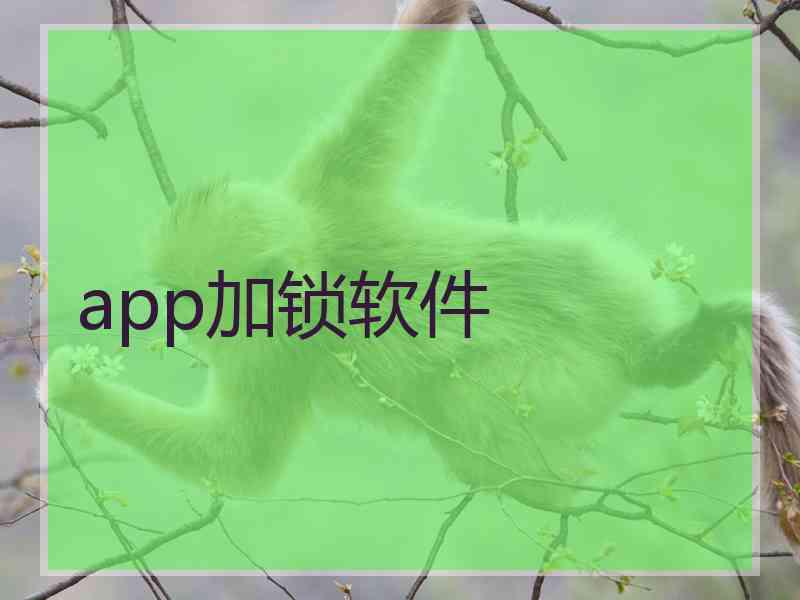 app加锁软件