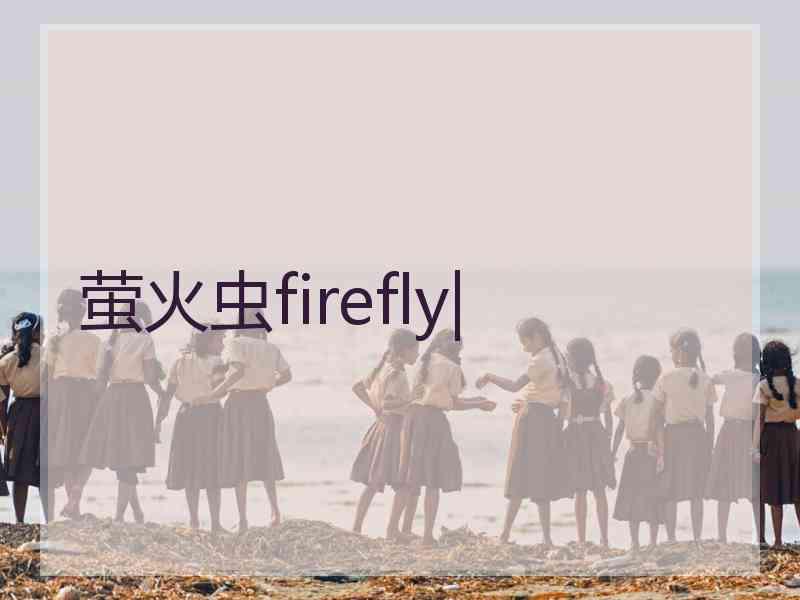 萤火虫firefly|