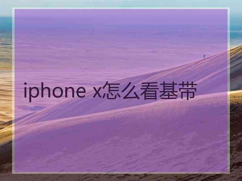 iphone x怎么看基带