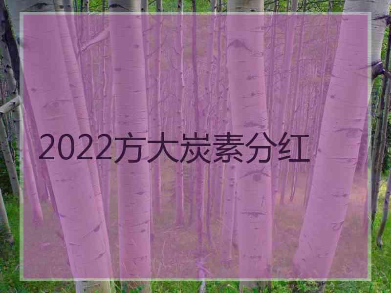 2022方大炭素分红