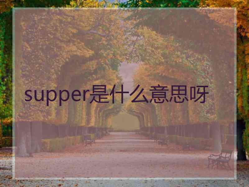 supper是什么意思呀