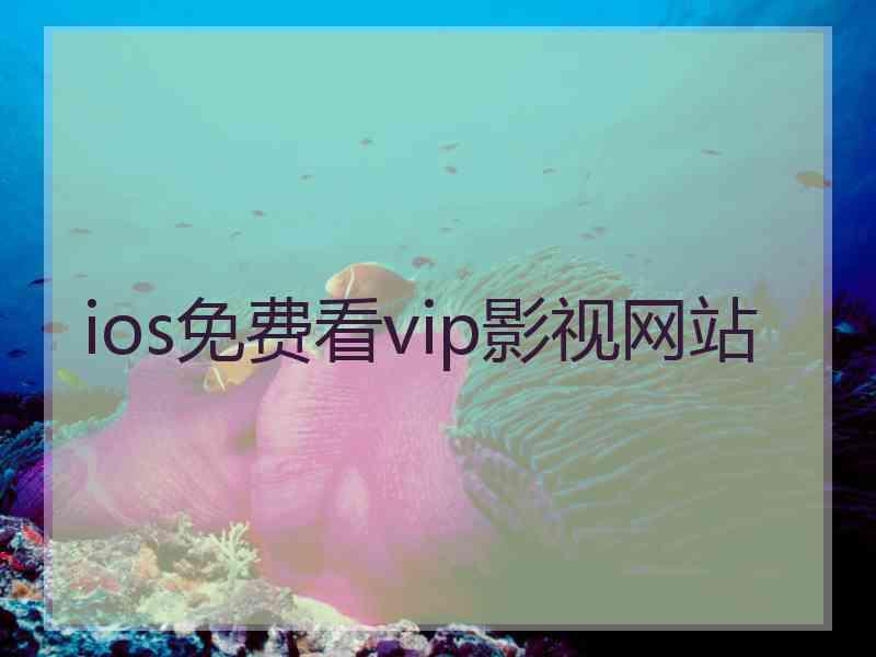 ios免费看vip影视网站