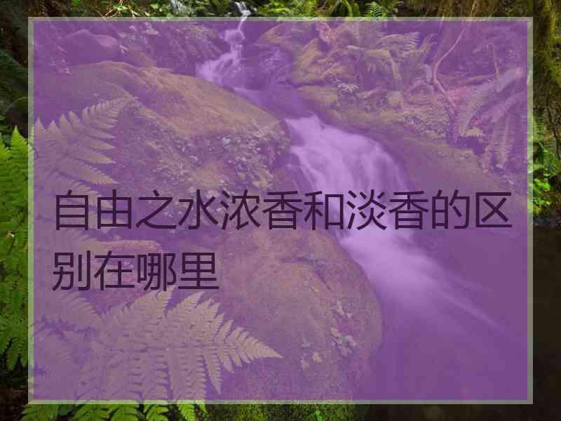 自由之水浓香和淡香的区别在哪里