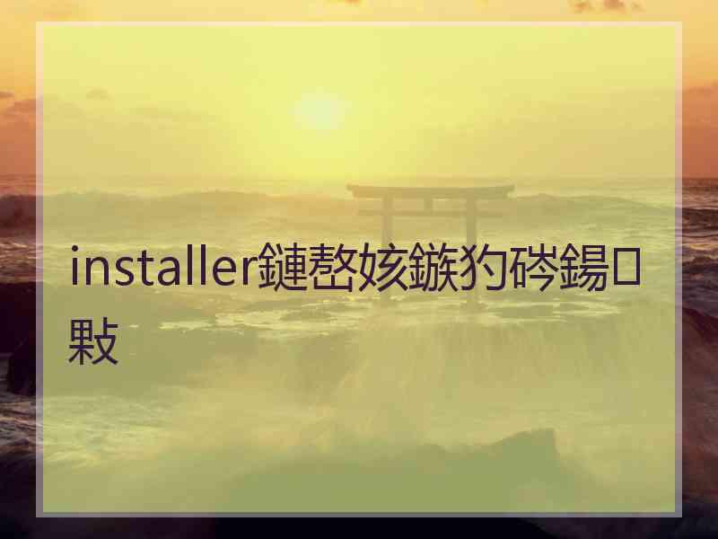 installer鏈嶅姟鏃犳硶鍚敤