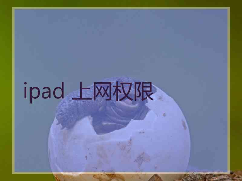 ipad 上网权限