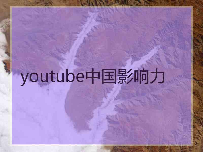 youtube中国影响力