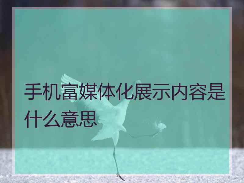 手机富媒体化展示内容是什么意思