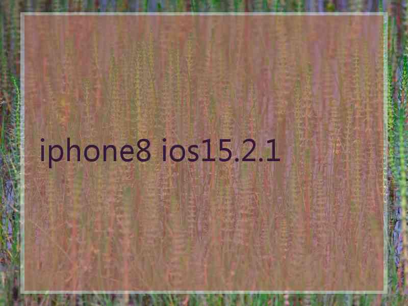 iphone8 ios15.2.1