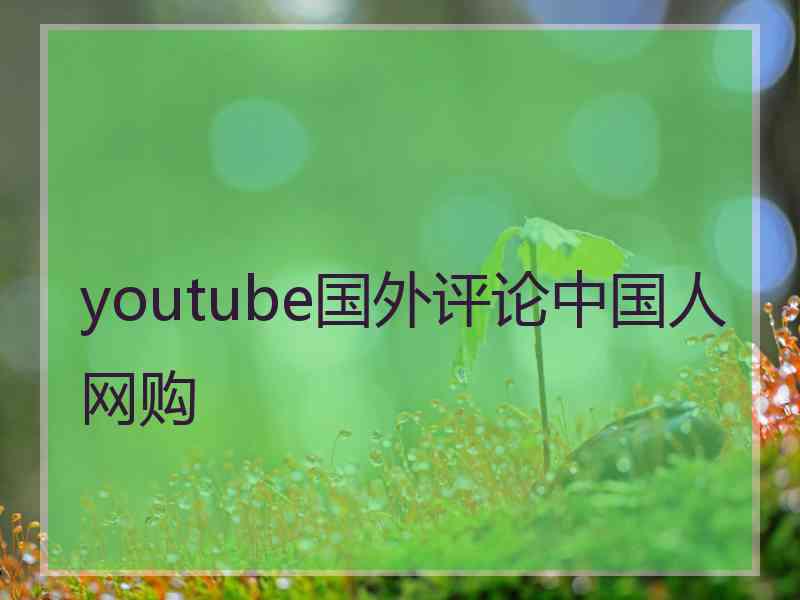 youtube国外评论中国人网购