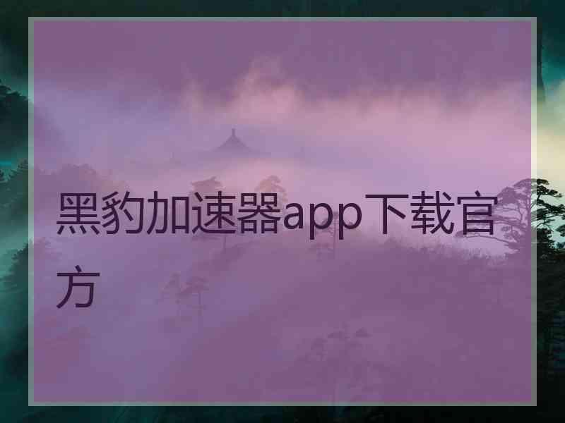 黑豹加速器app下载官方