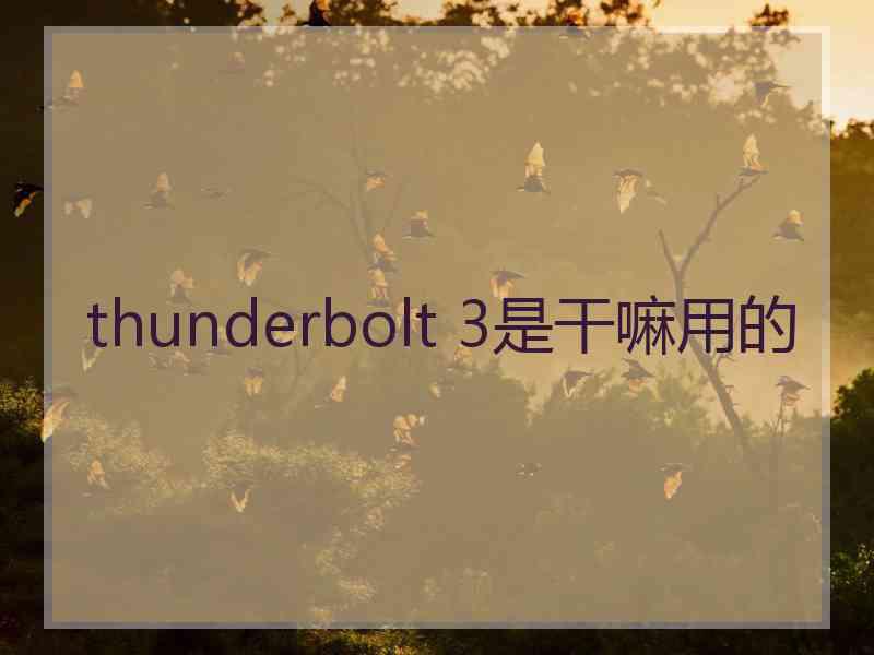 thunderbolt 3是干嘛用的