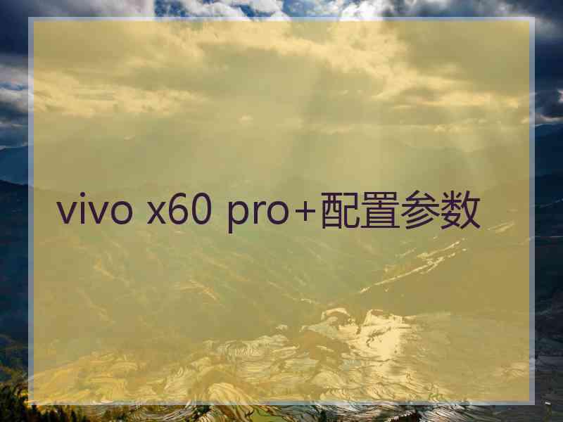 vivo x60 pro+配置参数