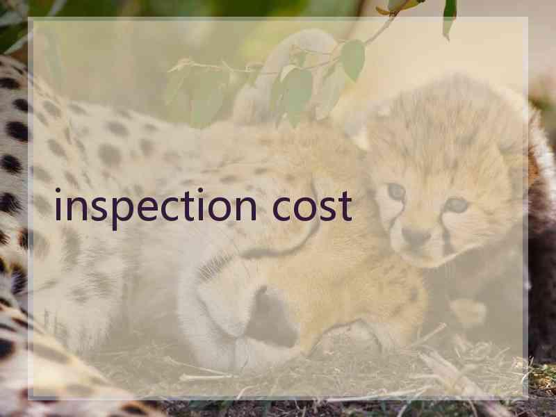 inspection cost