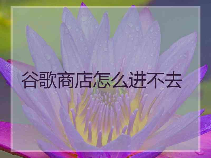 谷歌商店怎么进不去