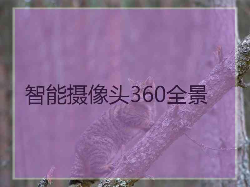 智能摄像头360全景