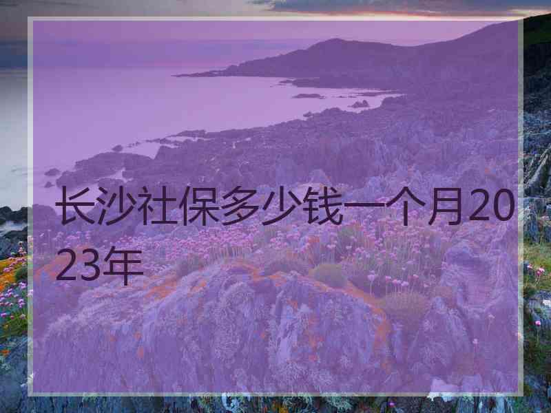 长沙社保多少钱一个月2023年