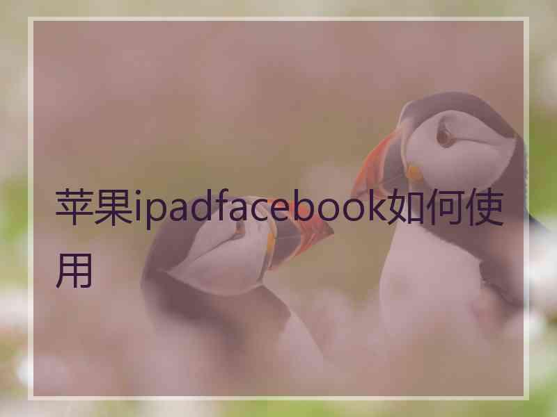 苹果ipadfacebook如何使用