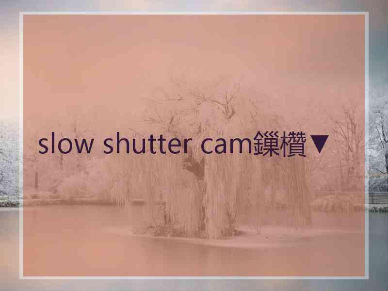 slow shutter cam鏁欑▼