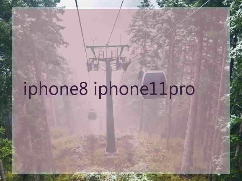 iphone8 iphone11pro