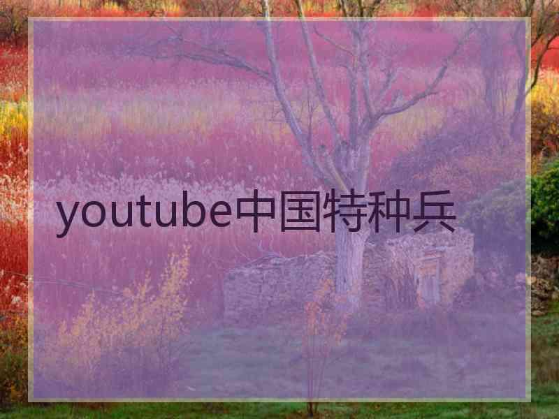 youtube中国特种兵