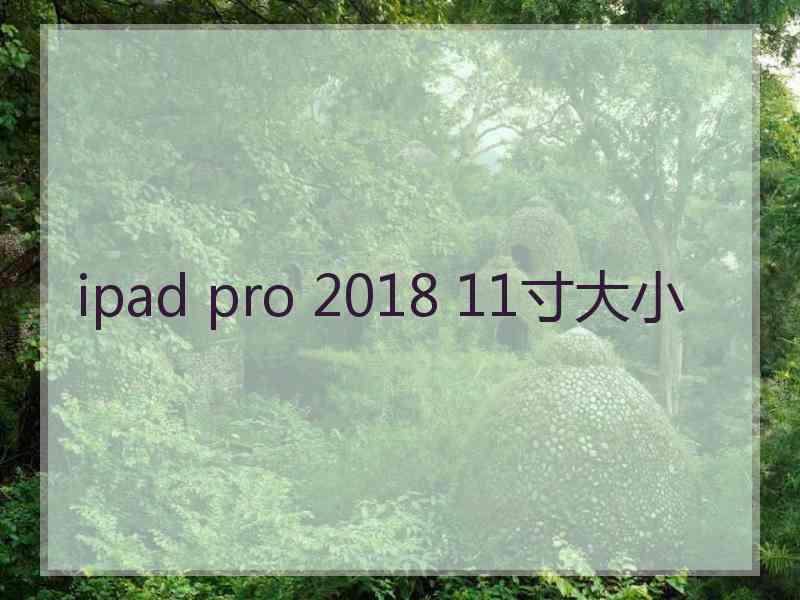 ipad pro 2018 11寸大小