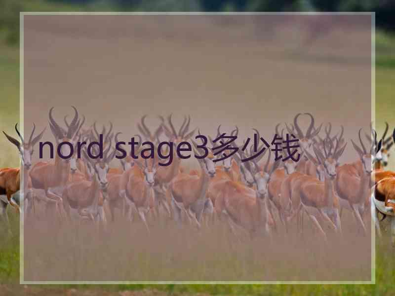 nord stage3多少钱