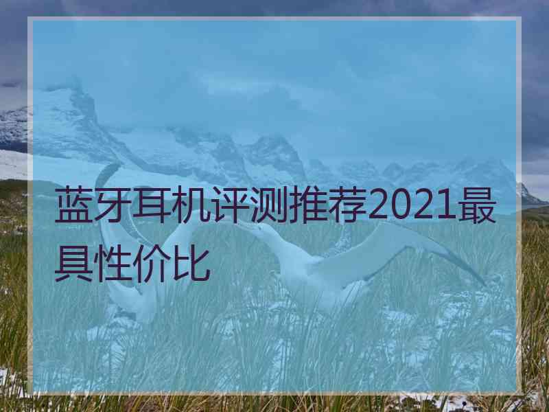 蓝牙耳机评测推荐2021最具性价比