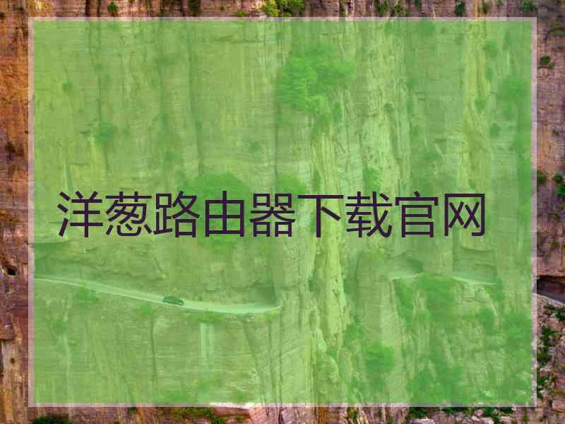 洋葱路由器下载官网